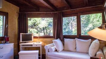 TV, fireplace, DVD player, ping pong