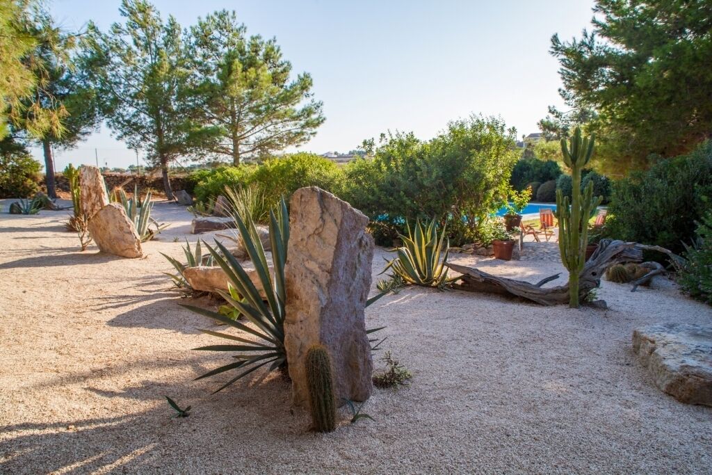 Terrein van de accommodatie