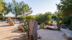 Un jardín desértico con rocas grandes, cactus y pinos.