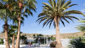 Een zwembad met ligbedden, een pergola en palmstruiken.