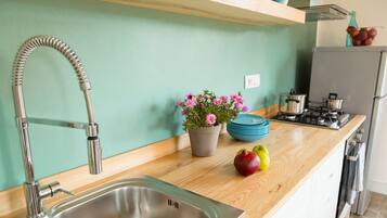 Fridge, oven, stovetop, coffee/tea maker