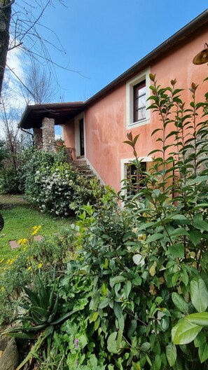 Dettaglio esterni