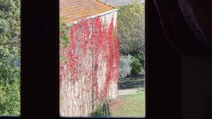 Une vue par la fenêtre sur un paysage urbain, avec, au loin, une structure qui ressemble à un château, un bâtiment aux feuillages rouges et un ciel dégagé.