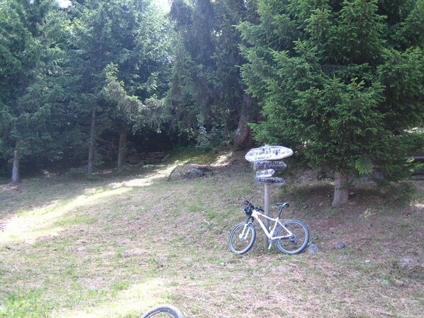 A mountain bike parked near a directional signpost in a forested area.