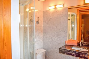 Shower, hair dryer, bidet, towels
