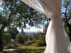 Un giardino con un vialetto, alberi e vista sul paesaggio.