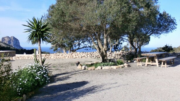 Un espacio con grava, mesas de picnic y un árbol grande.