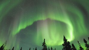Eine verschneite Landschaft mit einem Wald und dem Polarlicht.