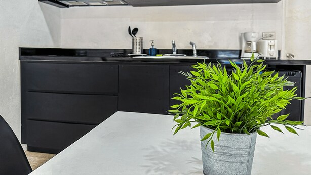 A modern kitchen with black cabinets, a microwave, a sink, and a potted plant on the counter. - Loft Aparment Steps From Nightlife, Gladiolas II /Loft + Room /Free WIFI - 2101 (Ponce Pueblo)