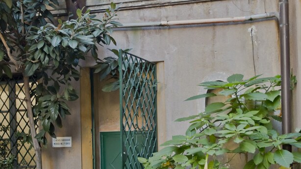A building with a green door, a metal gate, and potted plants.
