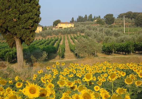 Parco della struttura