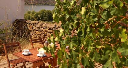 Casa de las Latrinas Bajas, Baixo / bajo Guadiana