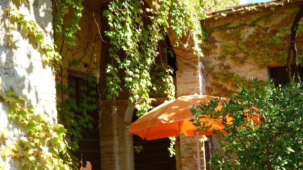 An outdoor patio with a table and chairs, a potted plant, and an umbrella. - Farmhouse in the Chianti "La Foresta 1" with swimming pool  (San Leonino)