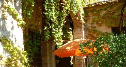 Farmhouse in the Chianti "La Foresta 1" with swimming pool