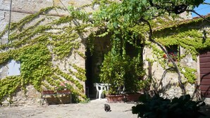A stone building with arched windows and a doorway, surrounded by greenery and potted plants. - Farmhouse in the Chianti "La Foresta 1" with swimming pool  (San Leonino)