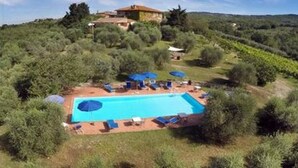 A villa with a swimming pool surrounded by lush greenery and a vineyard in the background. - Farmhouse in the Chianti "La Foresta 1" with swimming pool  (San Leonino)
