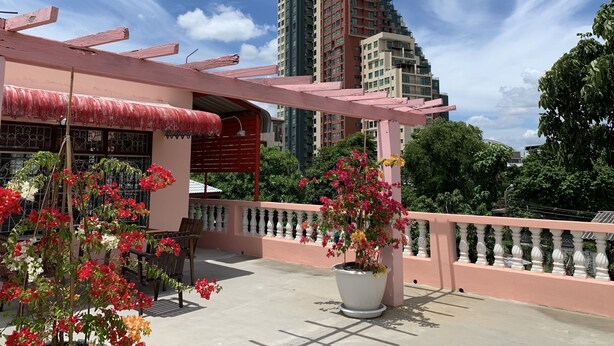 Una terraza en la azotea con una pérgola rosa, plantas en macetas y vistas a un edificio alto al fondo.