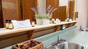A bathroom with a sink, a mirror, and shelves holding lavender plants and toiletries.