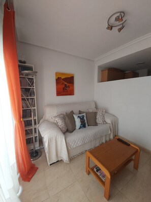 TV, DVD player, books, video library