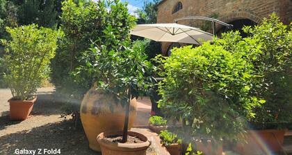 Apartment in an old mill in the heart of Maremma