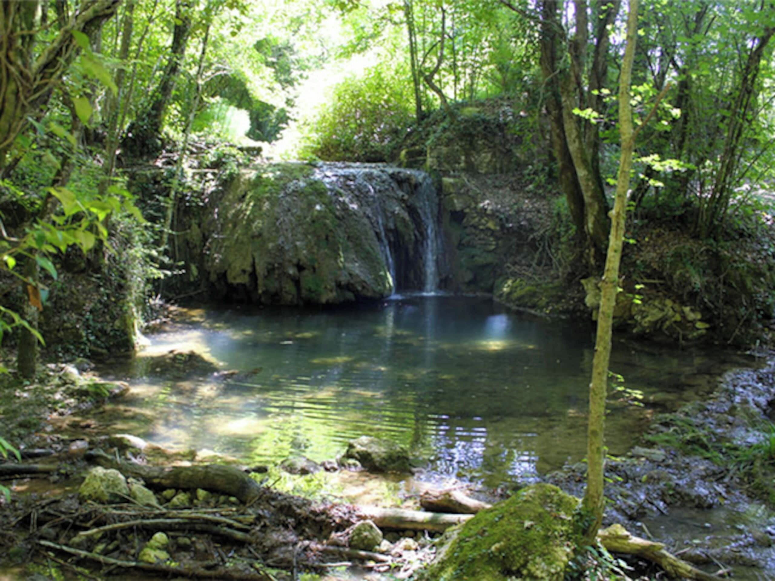 A natural waterfall in a forested area with a clear pool at the base.