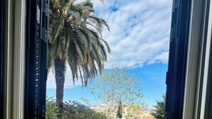A view through a doorway to a gravel path leading to a bench area with a palm tree and a building in the background.