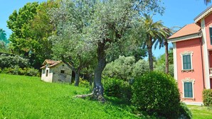 A traditional stone house with a tiled roof, surrounded by lush greenery and a large tree.