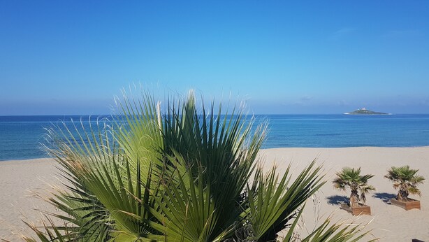 A beach with palm trees and a clear blue sky. - Villa BUTTERFLY 1 SEA RELAX AND CLOSE TO CULTURAL SITES (Capaci)
