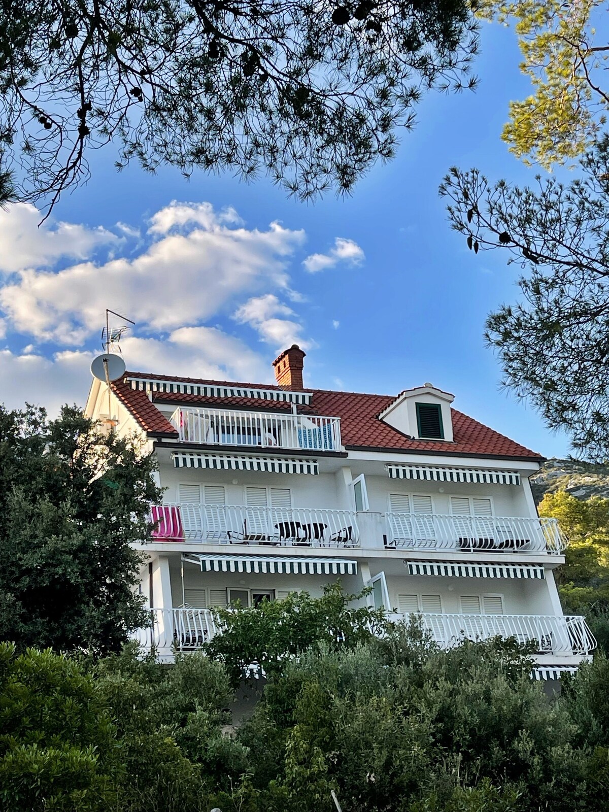 Image de profil de l’hôte