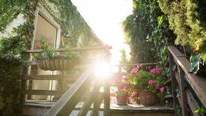 Exterior detail - PRIVATE DESIGNER ROOFTOP GUEST SUITE WITH WI-FI AND AC! (Los Angeles)
