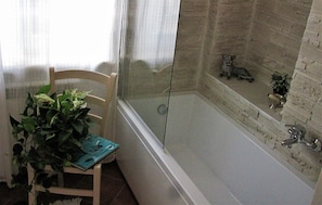 Combined shower/tub, hair dryer, bidet, towels