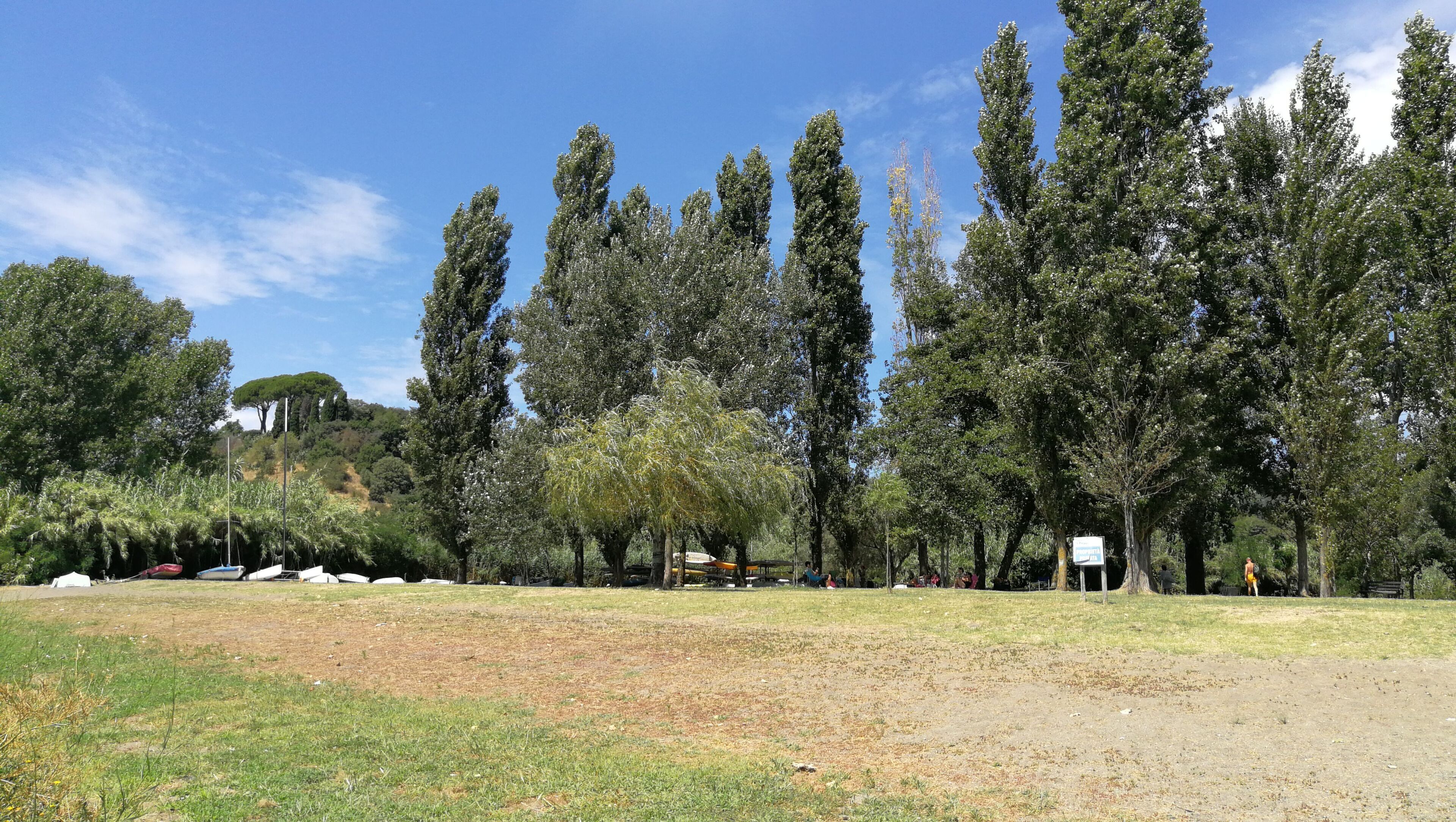 Ein Park mit hohen Bäumen, einer grünen Wiese und einem Schild, das einen Picknickbereich kennzeichnet.