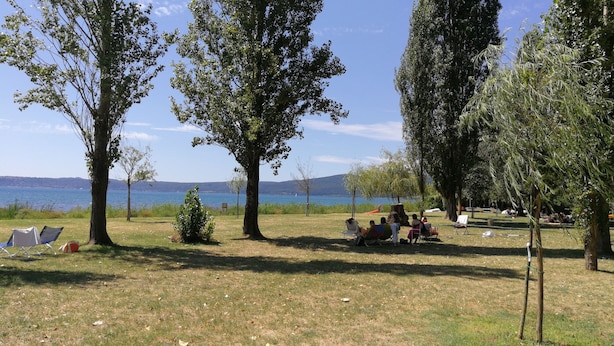 Eine grüne Rasenfläche mit Bäumen und Blick auf einen See.