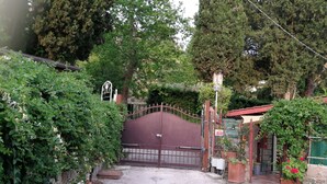 Ein verschlossener Eingang mit einem Metallgitter, umgeben von üppiger Vegetation und Topfpflanzen.