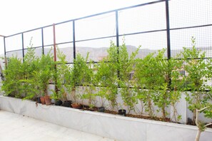 Property grounds - Enjoy the taste of Rajasthan (Jaipur)