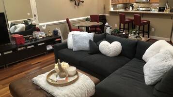 Smart TV, Hulu, books, streaming services