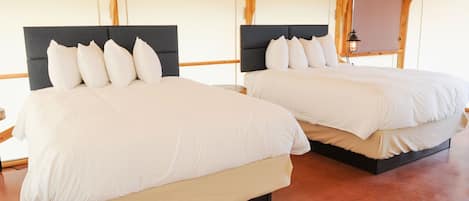 Desk, free WiFi, bed sheets
