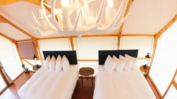 Desk, free WiFi, bed sheets