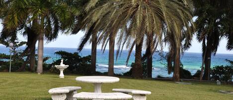 Jardines del alojamiento