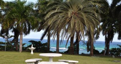 Beautiful 1 BR Beach View Apartment, Gated, Serene.