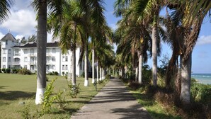 Um caminho bordeado por palmeiras que leva a um edifício branco grande, com várias janelas e varandas.