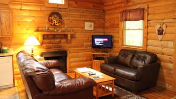 TV, fireplace, DVD player, stereo