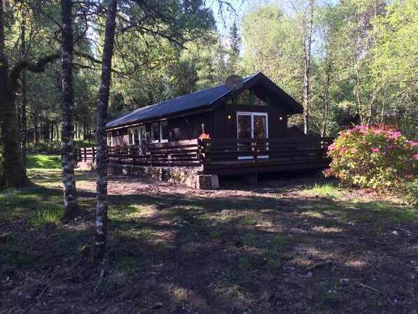 Exterior - Berneray is a charming cabin in a beautiful setting, deep in the forest. (Taynuilt)