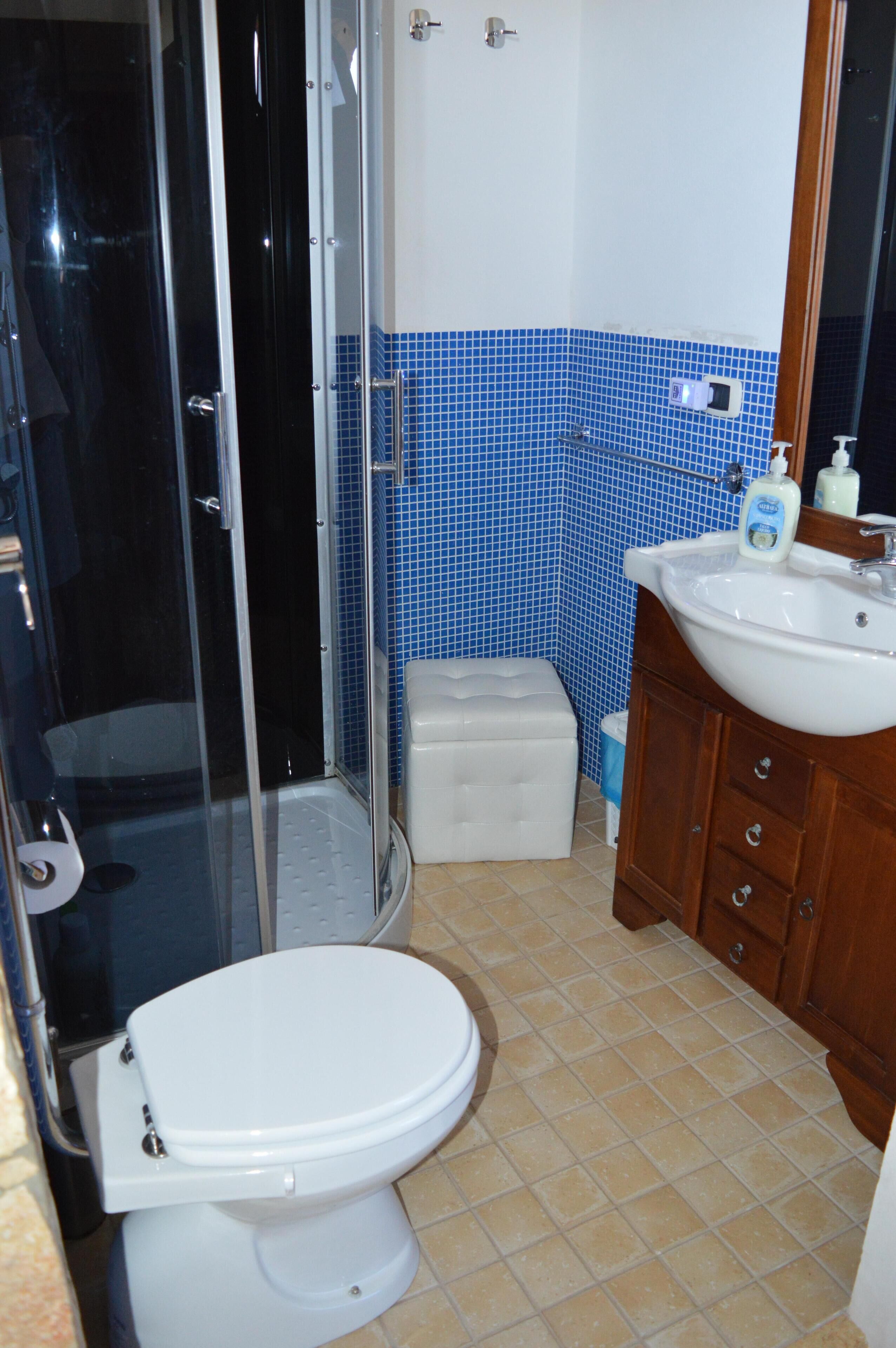 Ducha, bañera de hidromasaje, secador de pelo, toallas