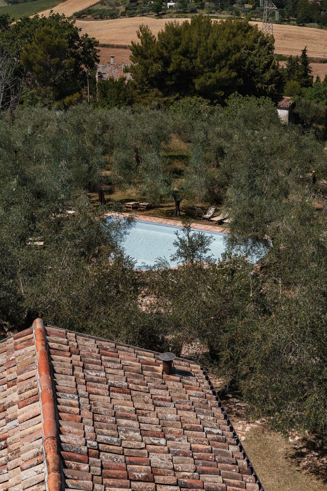 Eine Dachterrasse mit Pool, umgeben von Bäumen, mit Backsteindach und Blick auf die Landschaft.