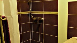 A small shower area with a tiled wall, a handheld showerhead, and a toilet.