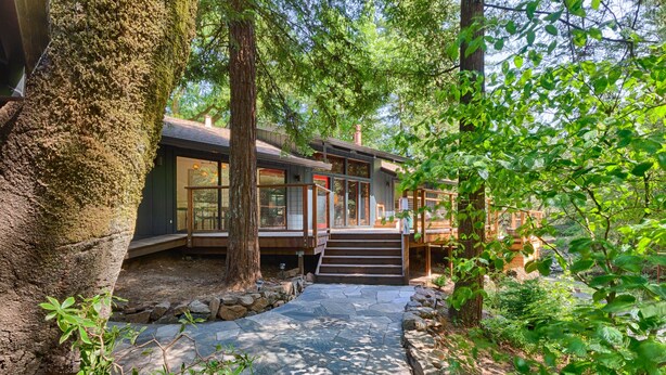 Une maison moderne avec un chemin de pierre menant à une terrasse en bois, entourée d’une végétation luxuriante et d’arbres.