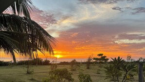 Un atardecer sobre un campo cubierto de hierba con árboles pequeños y una palmera en primer plano.
