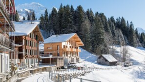 Exterior - Chalet Roossi Penthouse (Wengen)