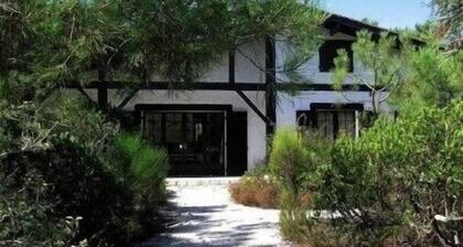 Renovated landaise style house with enchanted garden, 2 steps from the lake